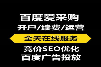 百度竞价代理操作手册：成功案例分析